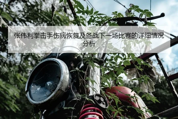 img_1791653931759_276_0_425.jpg | JIUYOU SPORTS